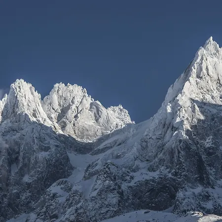 Апарт-готель Le Genepy - De Charme