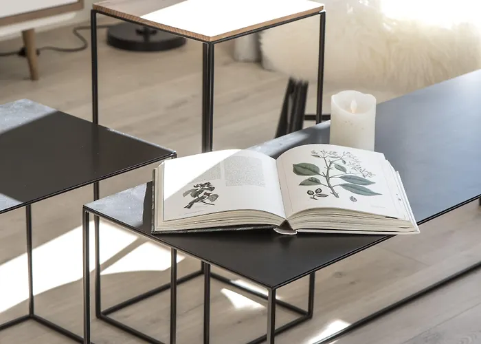 日尼佩迷人公寓式酒店 公寓式酒店 霞慕尼